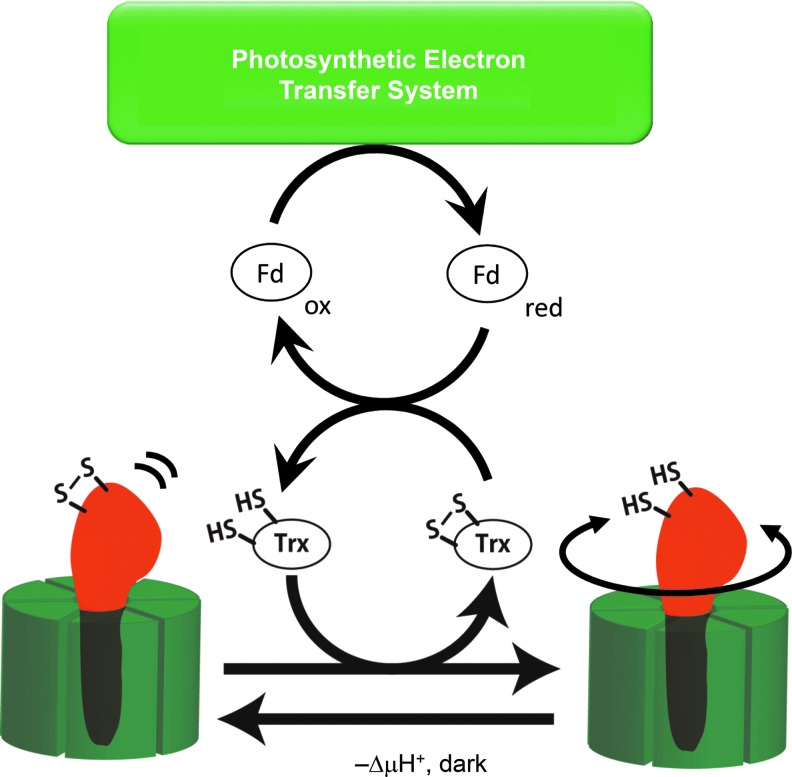 FIG. 3.