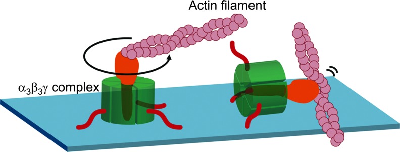 FIG. 1.