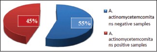 Graph 1