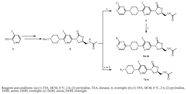 Scheme 1