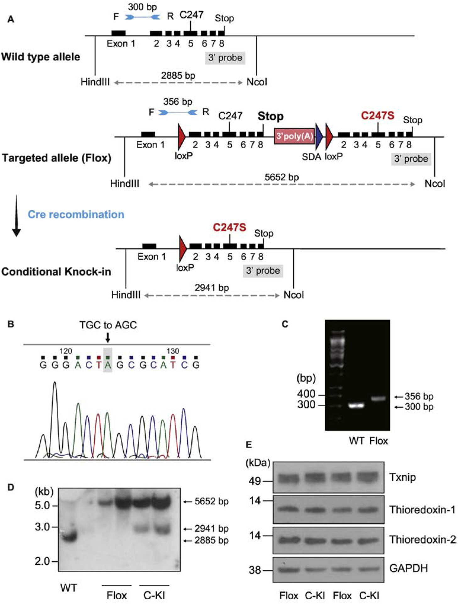 Figure 3.