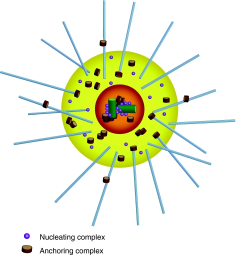 Fig. 1