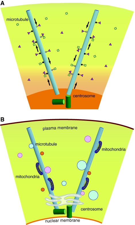 Fig. 2