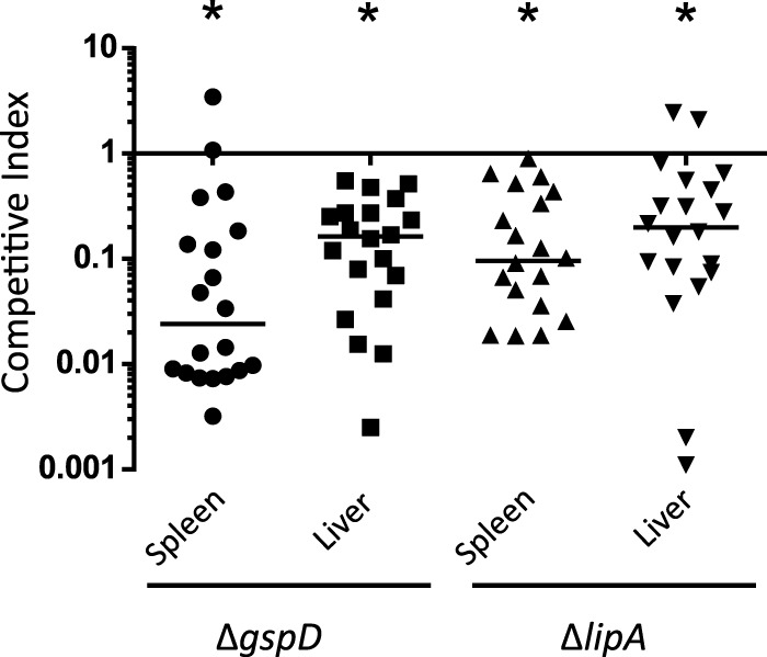 FIG 6