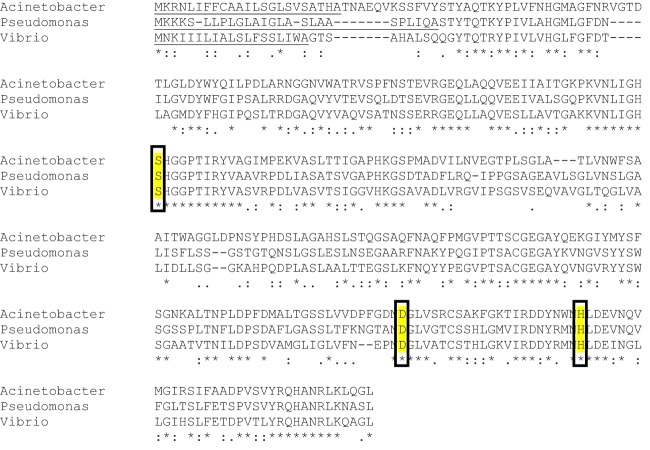 FIG 3