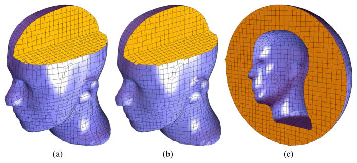 Fig. 12