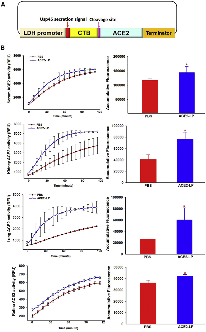 Figure 2