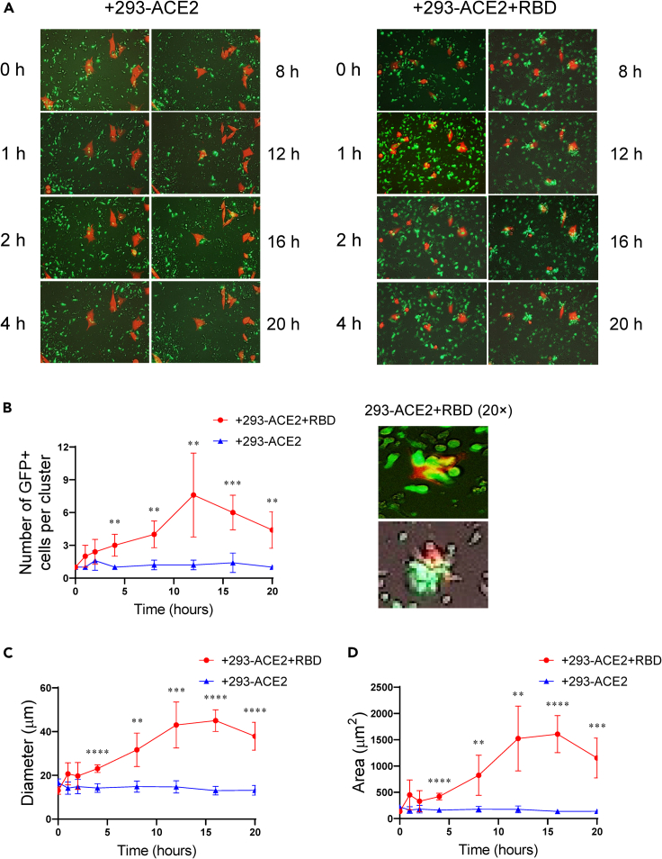 Figure 3