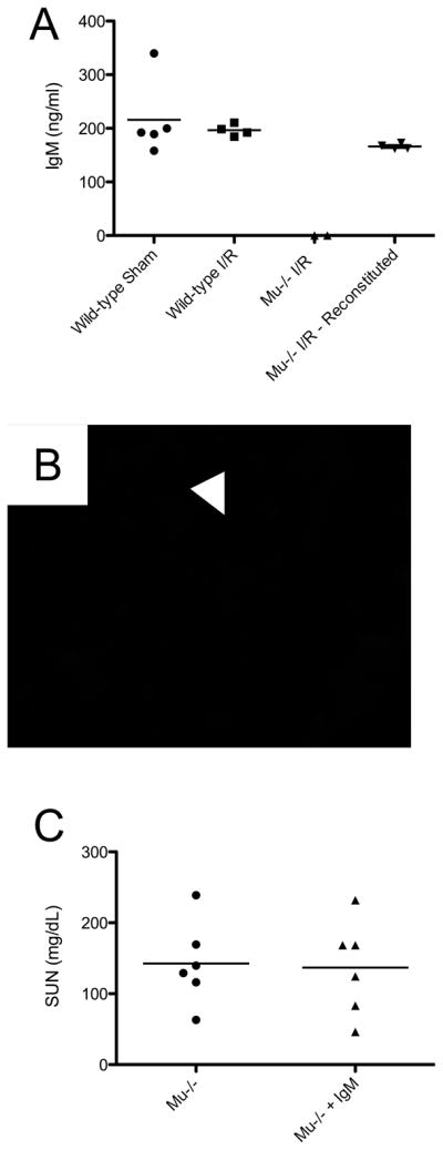 Figure 8