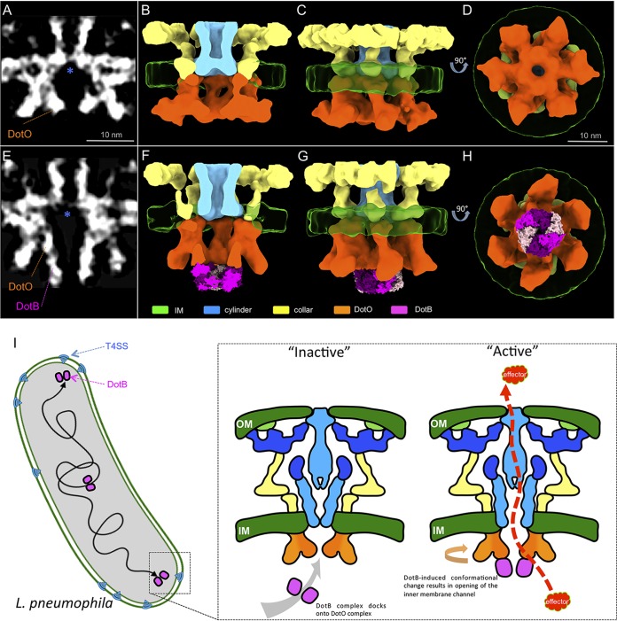 FIG 4