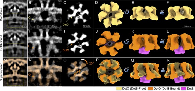 FIG 3