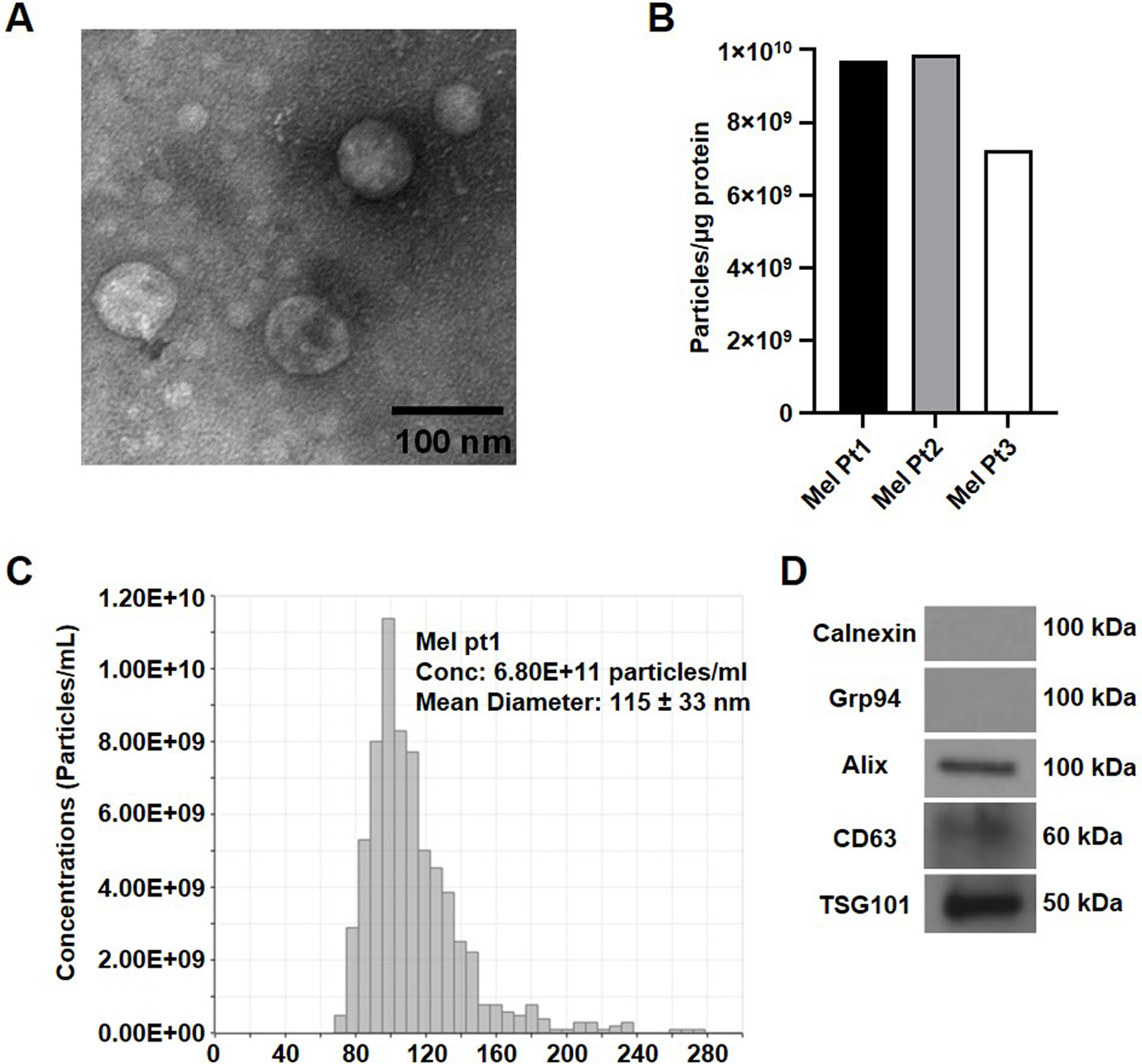 Fig. 2: