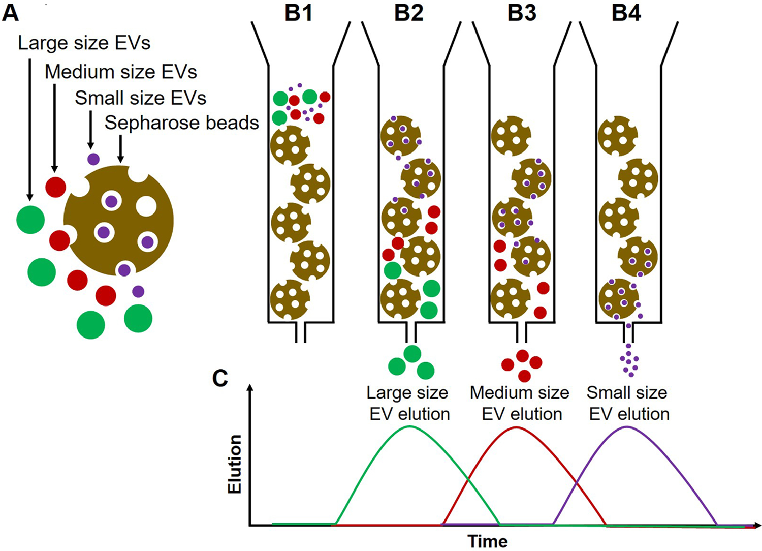 Fig. 1: