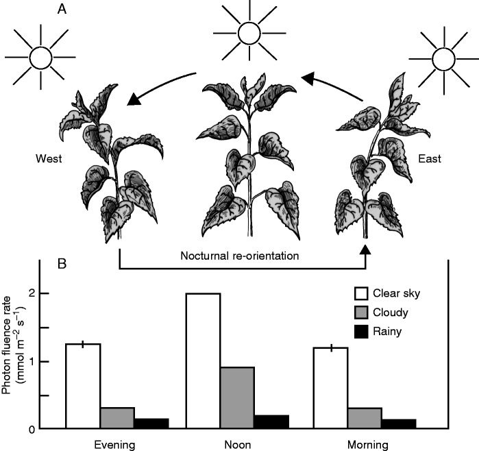 Fig. 3.