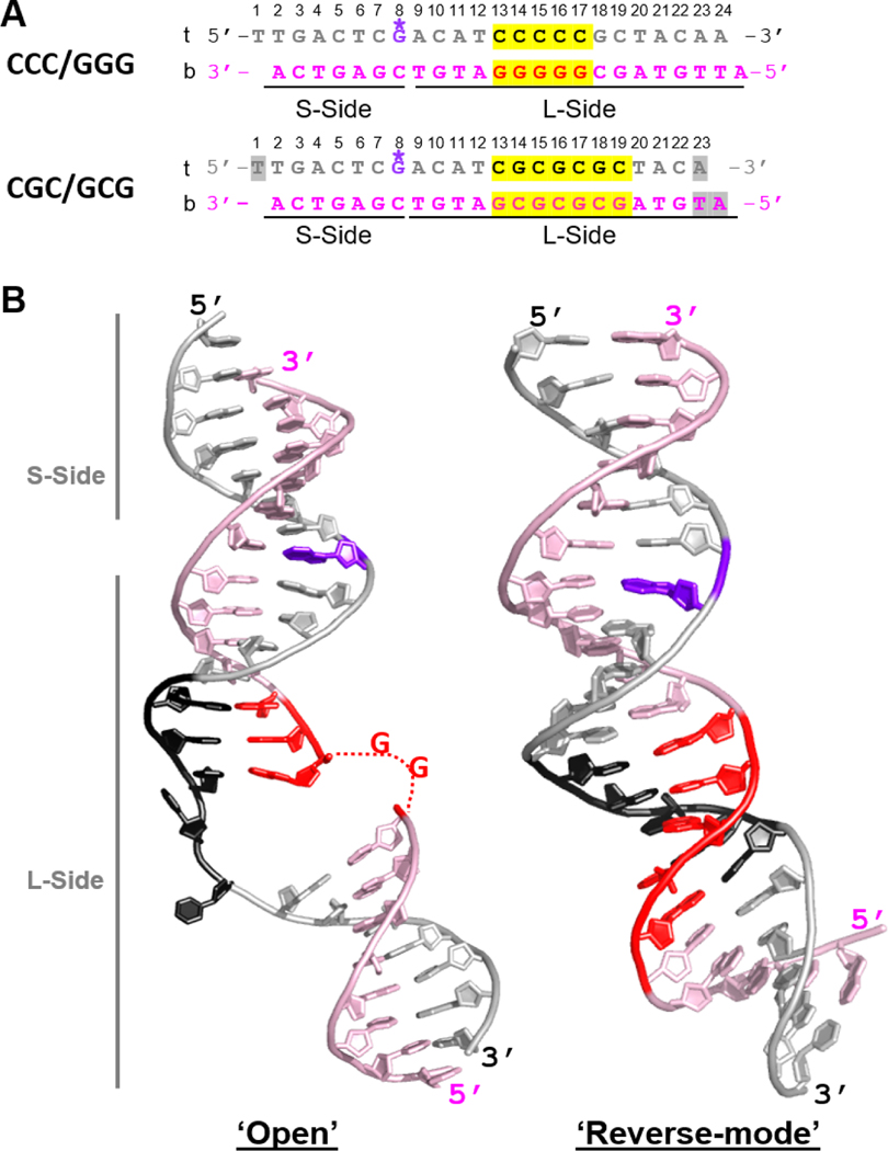 Fig.2.