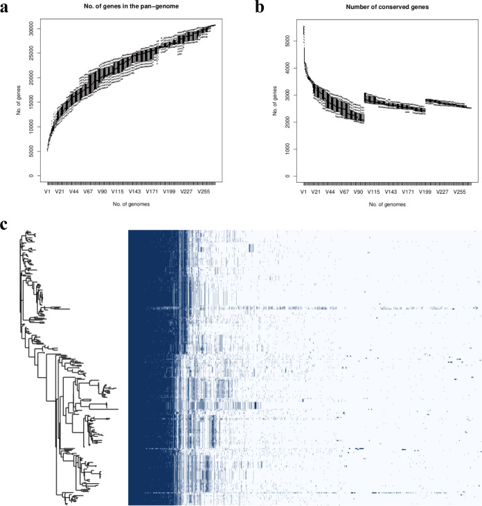 FIG 1