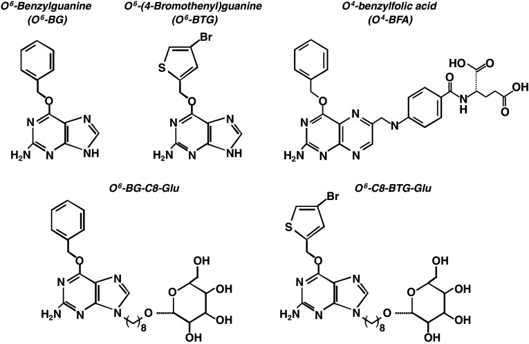 Fig. 3