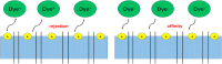 Fig. 13