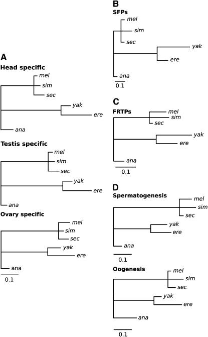 Figure 3.—