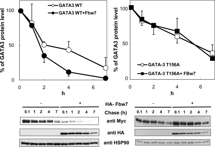 FIG 6