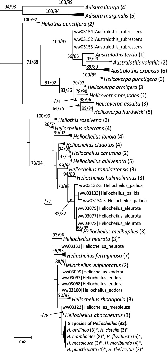 Fig 1