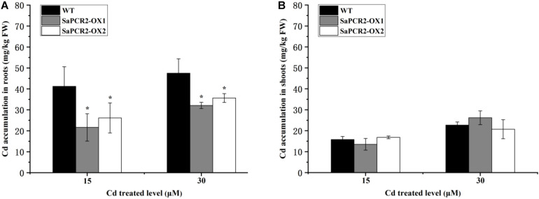 FIGURE 4