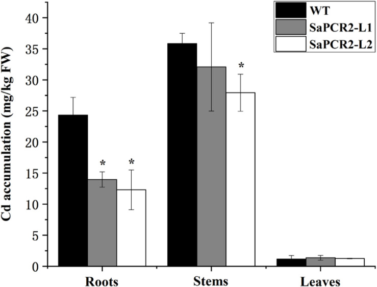 FIGURE 6