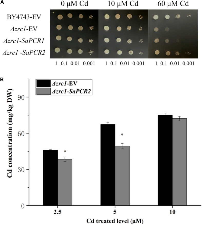 FIGURE 3