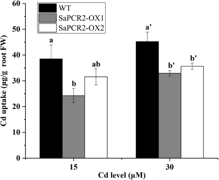 FIGURE 7