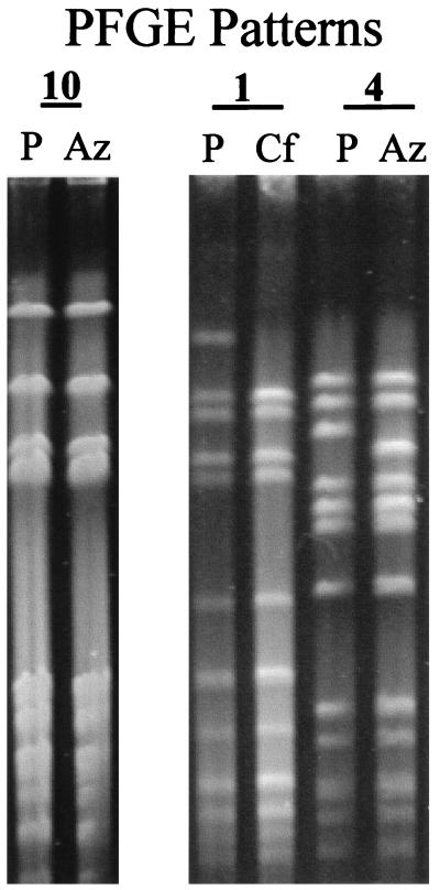 FIG. 1