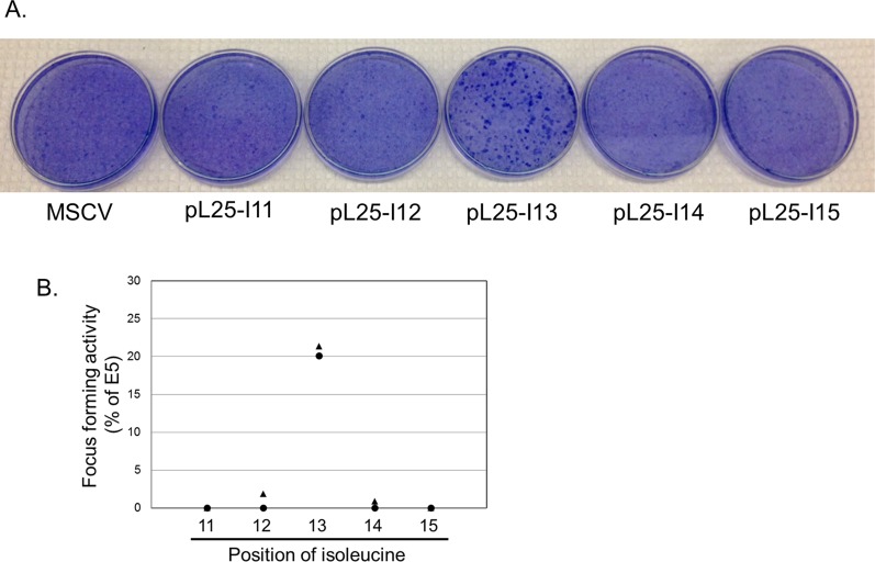 Fig. S9.