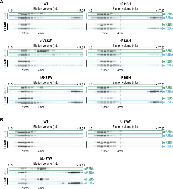 Figure 2—figure supplement 2.