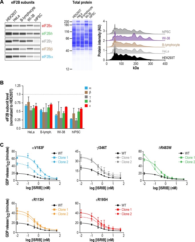 Figure 4—figure supplement 4.