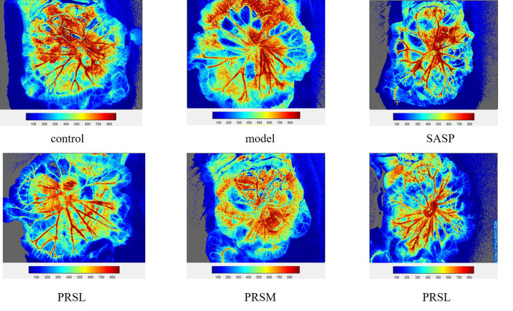 Figure 6