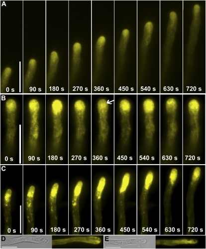 Figure 3.