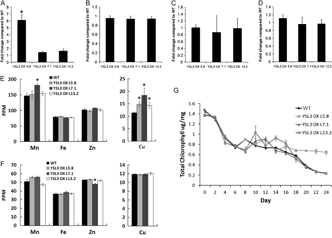 Figure 7.