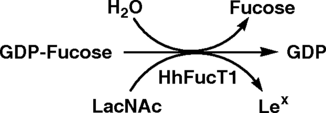 Fig. 9