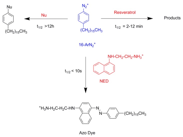 Scheme 3