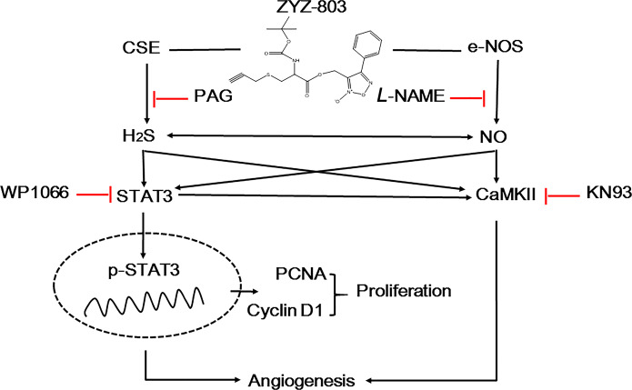 Fig. 8