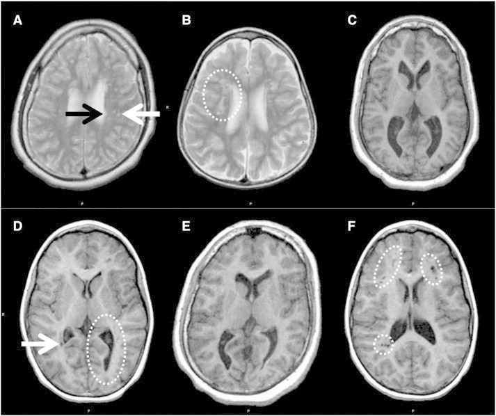 Fig. 2