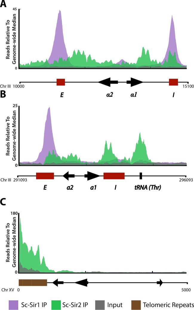 FIG 1