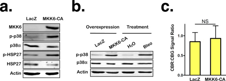 Figure 5.