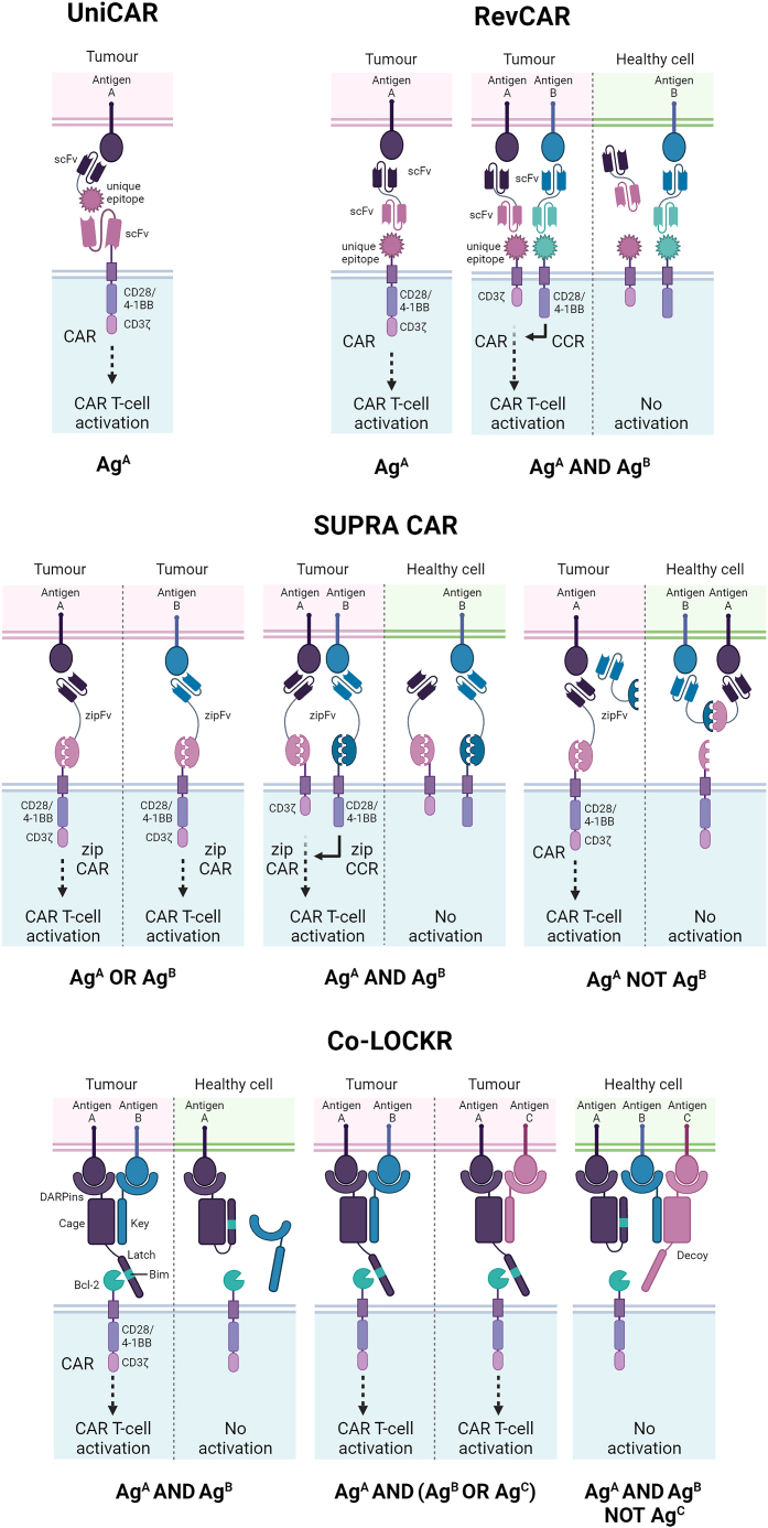 Figure 4