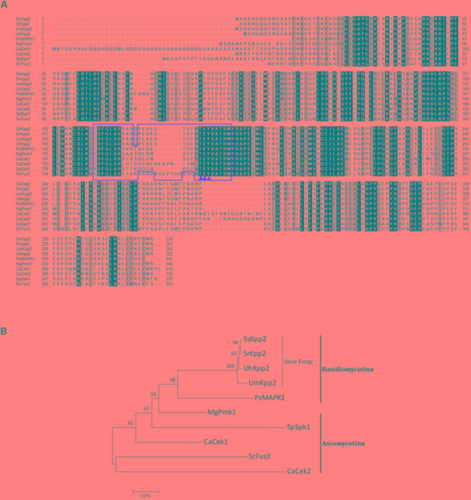 FIGURE 1