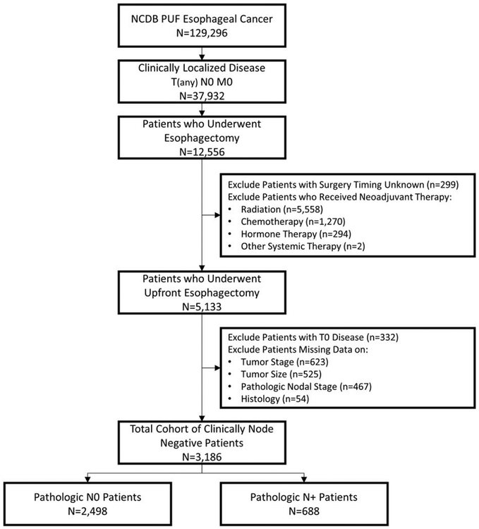 FIGURE 1.