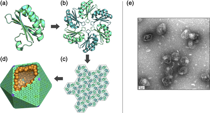 FIGURE 1