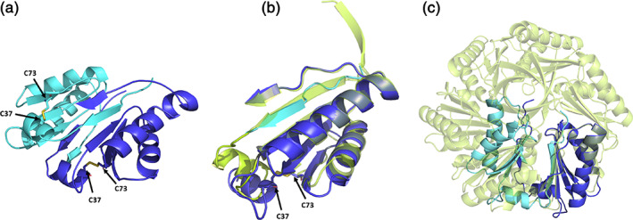 FIGURE 2