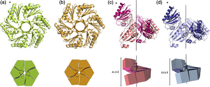 FIGURE 3