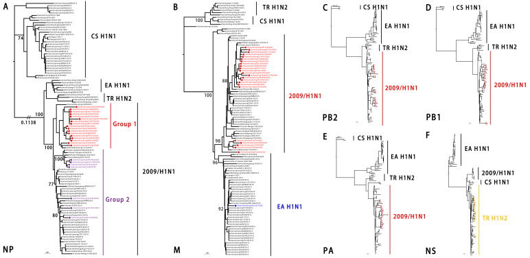 Figure 4