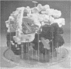 49